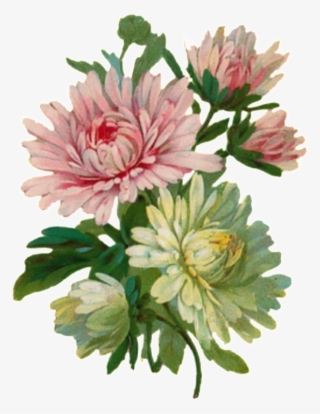 Svg Transparent Stock Cartoon Hand - Transparent Clipart Vintage Flowers