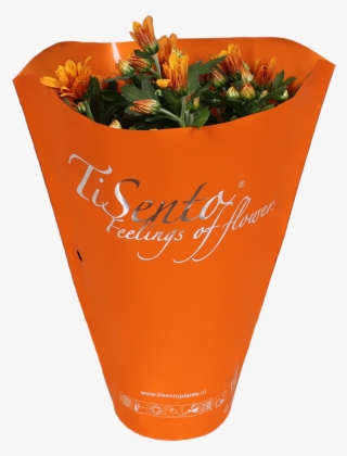 Tisento Never Fails To Surprise With Her Trendy Packaging - Tulip