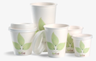 Biopak Products Products 4 Cup