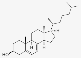 Smith Lemli Opitz Syndrome Dna