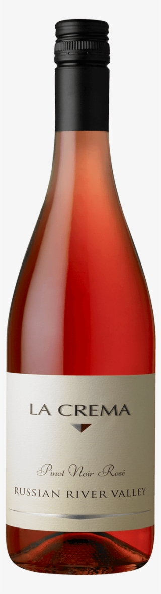 Friend, In Haiti - Champagne