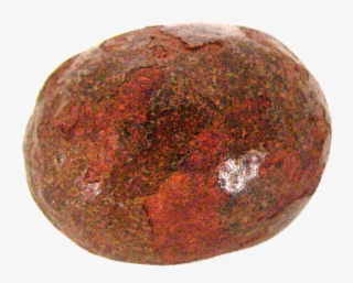 28 Am 274930 Grassbezoar 8/22/2016 - Avocado