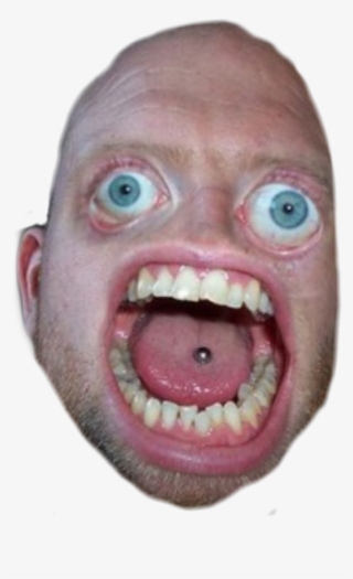 Bald Sticker - Stupid Man In The World