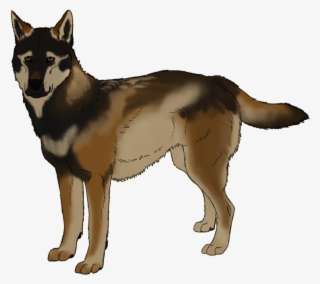 Go To Image - Sakhalin Husky