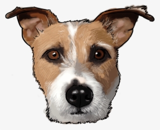 Why Does He Have A Dog Names After Him” Well, We're - Jack Russell Terrier