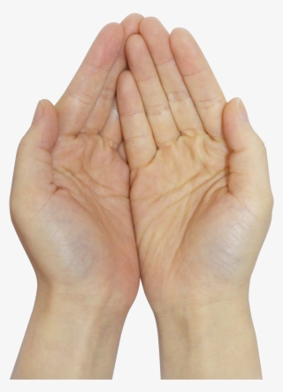 Praying Hands Image Purepng Free Transparent Image - Wood
