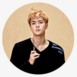 [edit/icon] Superelle - Sehun Magazine Super Elle
