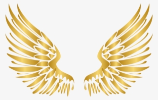 Wings Gold Wing Angel Angels Angelwings Angelwing Golde - Transparent Wings Vector Png