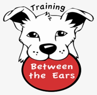 Training Between The Ears Dog Training Podcast - Dog Licks