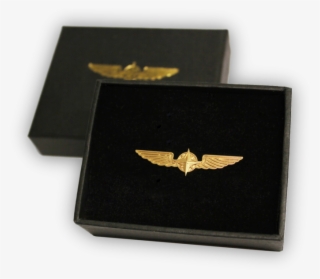 Design For Pilots Wings