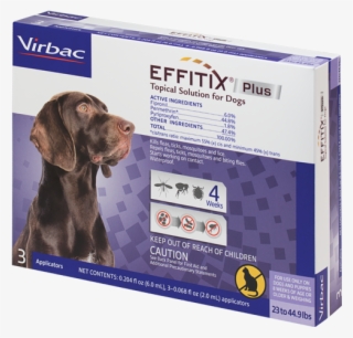Medium - Effitix