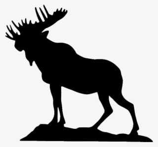 Moose Clipart Loyal Order - Transparent Moose