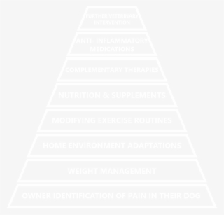Managing Arthritis Pyramid - Canine Arthritis Management