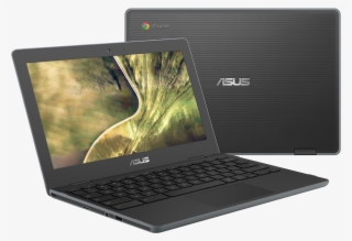 Apart - Asus Chromebook C204