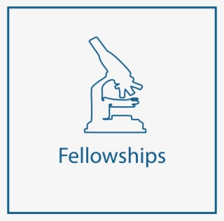 Wipo Research Fellowship Icon - Windows 7 Sp1