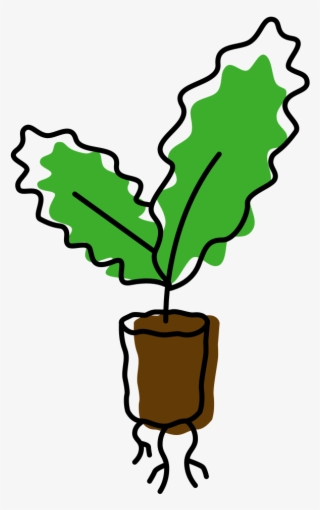 Hyper-local Future Of Food