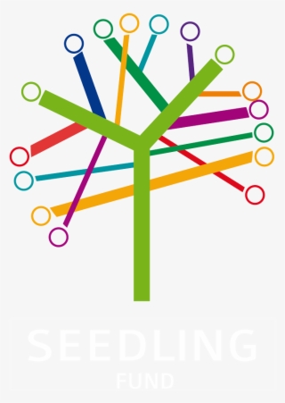 The Seedling Fund Ltd - Graphic Design