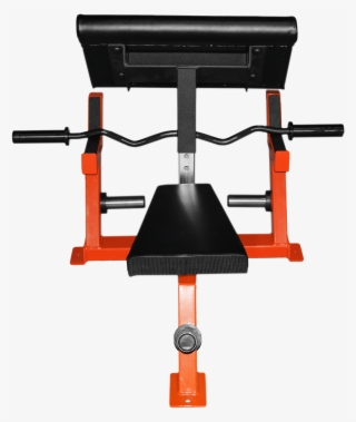 Seated Preacher Curl - Machine