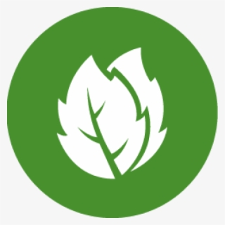 Bolsitas - Natural Remedies Icon