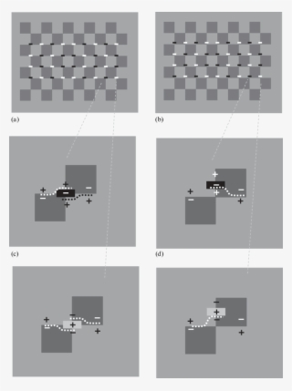 Checkerboard With Alternating Black And White Bars - Architecture