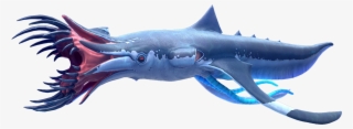 Squidshark - Invertebrate