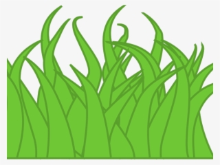 Lawn Clipart Long Grass - Drawing Of A Grass