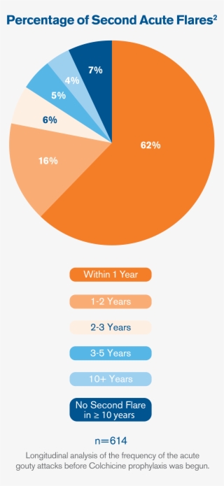 Gout Flare Prevention Begins With Treatment - Diagram
