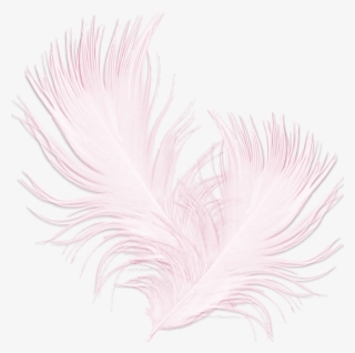 Sketch