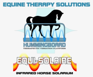 Equi-solaire - Stallion