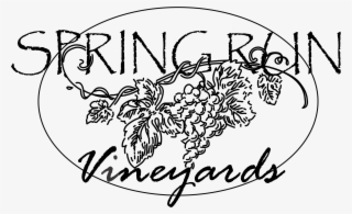 Cheese Drawing Vineyard - Illustration