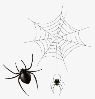 Halloween Cobwebs Clipart 7 Spider Web Png Bear - Painted Spider