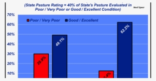 Good Rains Good Pastures = More Cows - Indosatm2