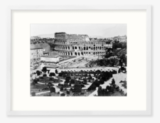 View On The Roman Forum And The Colosseum - Roman Colosseum Photo 1800