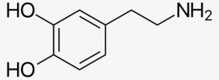Png - Dopamine Svg