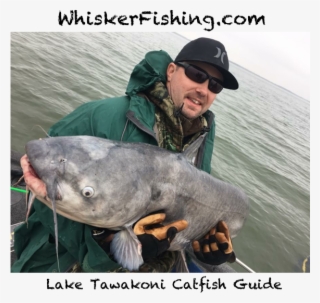 Lake Tawakoni Fishing Report - Pull Fish Out Of Water