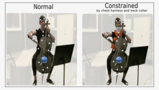 Audio Data Were Recorded At A - Orchestra