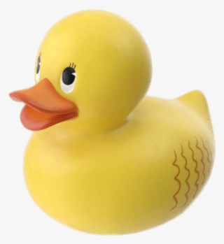 Objects - Duck