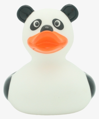 Panda Rubber Duck By Lilalu - Panda Rubber Duck