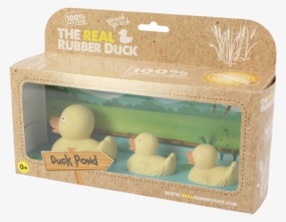 Real Rubber Duck Family