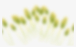 Slide B 2 - North Shore House