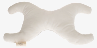 Pillow Body Is 100% Cool Oeko Cert Organic - Eagle