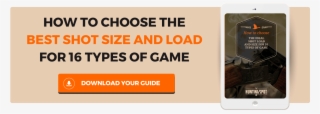 How To Choose The Ideal Shot Size And Load - Gadget