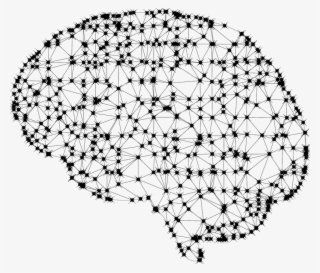 A, I, Ai, Anatomy, Artificial Intelligence, Biology - Brain Network