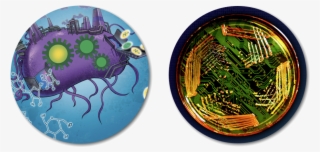 For Systems Biology, We Analyze The Complex Networks - Circle