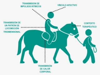 Al-paso - Club Recreational Activities