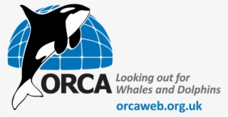Seiche Training Is Pleased To Announce A Partnership - Orca