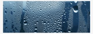 Condensation - Water Drop In Glass