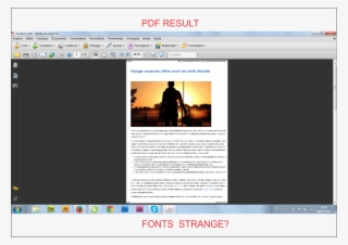Pdf Bug - Mcdonalds