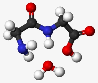 Glycine Condensation 2 3d Balls - Ethyl Acetate 3d Structure