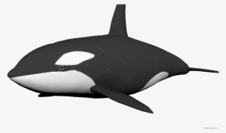 Clipartblack Com Animal Free - Transparent Background Whale Clipart
